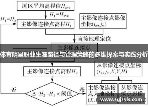 体育明星职业生涯路径与管理策略的多维探索与实践分析