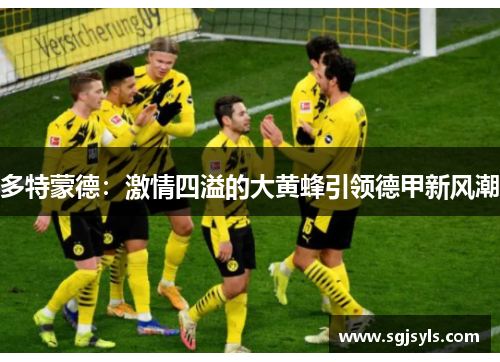 多特蒙德:激情四溢的大黄蜂引领德甲新风潮 多特蒙德:激情四溢的大黄蜂引领德甲新风潮