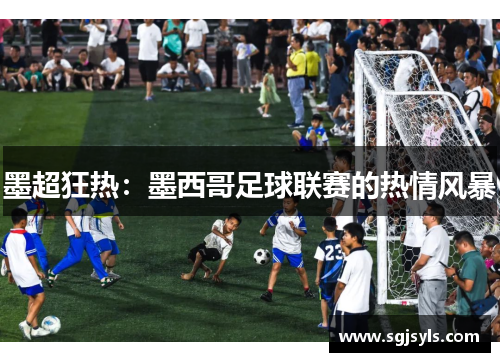 墨超狂热:墨西哥足球联赛的热情风暴 墨超狂热:墨西哥足球联赛的热情风暴