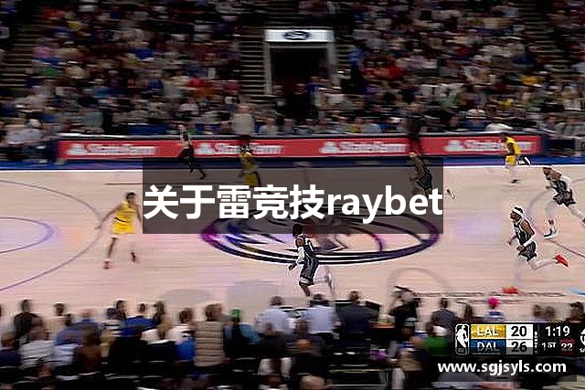 关于雷竞技raybet